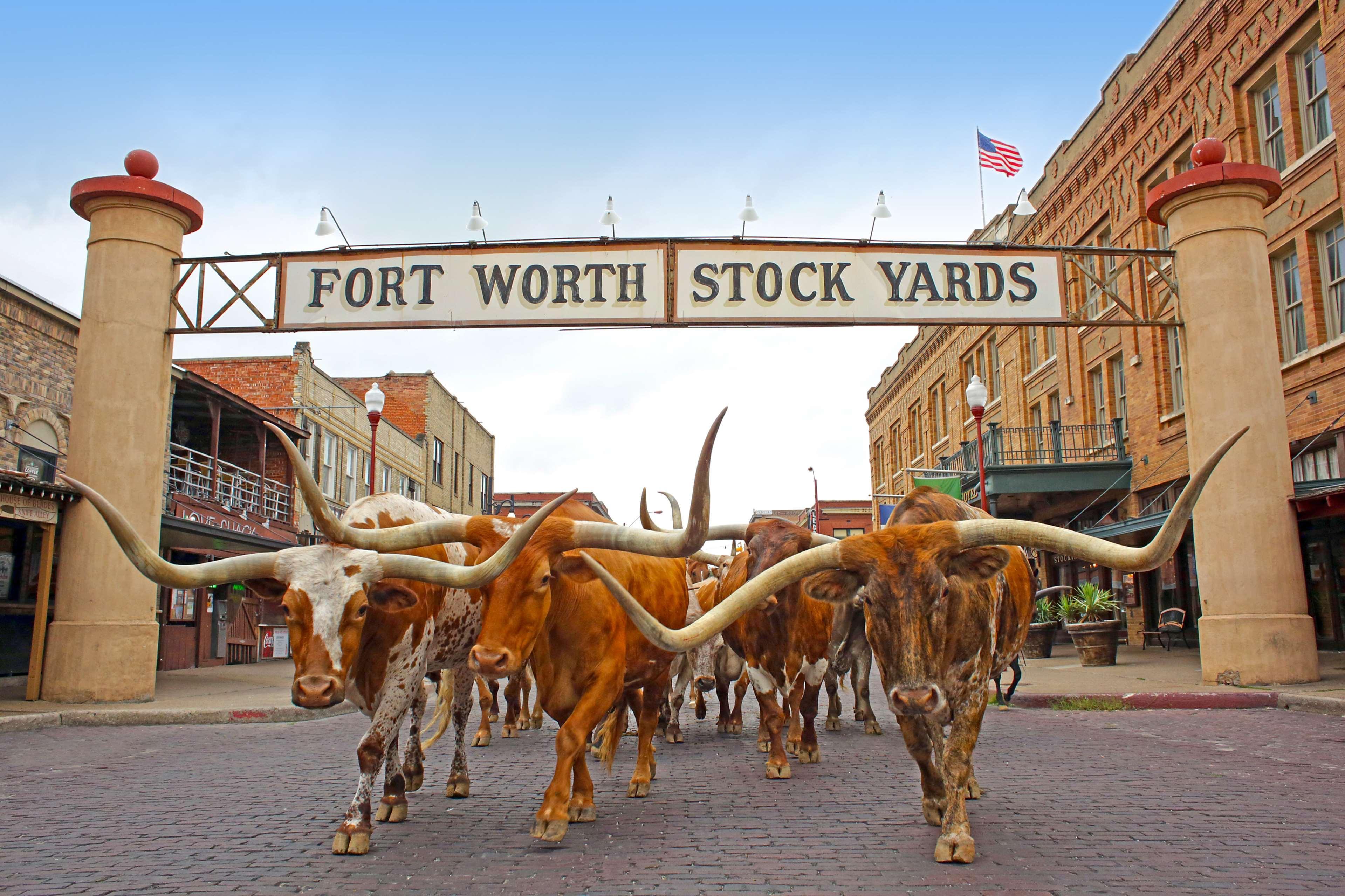 Radisson Hotel Fort Worth North-Fossil Creek Eksteriør billede